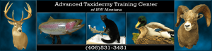 Advanced Taxidermy Training Center logo