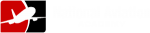 National Aviation Academy logo
