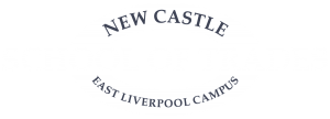 New Castle School of Trades logo