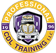 Professional CDL Training logo