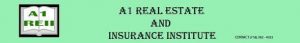 New York Real Estate & Insurance Institute logo