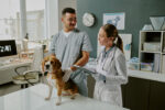 Veterinarians Treating Dog in Modern Clinic Room