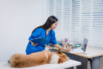 A professional Asian female veterinarian examines a cheerful corgi on the table at an animal clinic. With her stethoscope gentle care, she ensures the dog's health through a thorough physical checkup