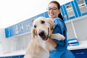 Veterinary Assistant