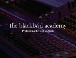 The Blackbird Academy logo