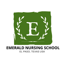 Emerald Nursing School logo