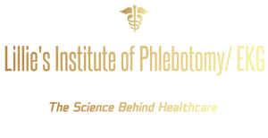 Lillie's Institute of Phlebotomy/EKG logo