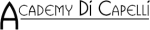 Academy Di Capelli logo