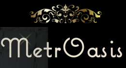 MetrOasis Beauty School & Advanced Training Centre logo