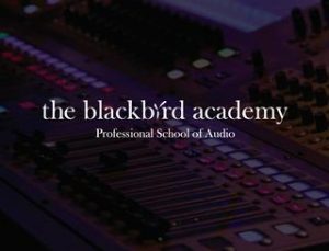 The Blackbird Academy logo