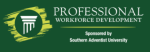 Professional Workforce Development logo