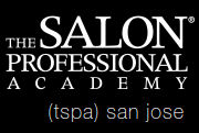 O Salão Profissional logotipo da Academia