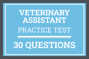 Veterinary Assistant Certification Practice Test